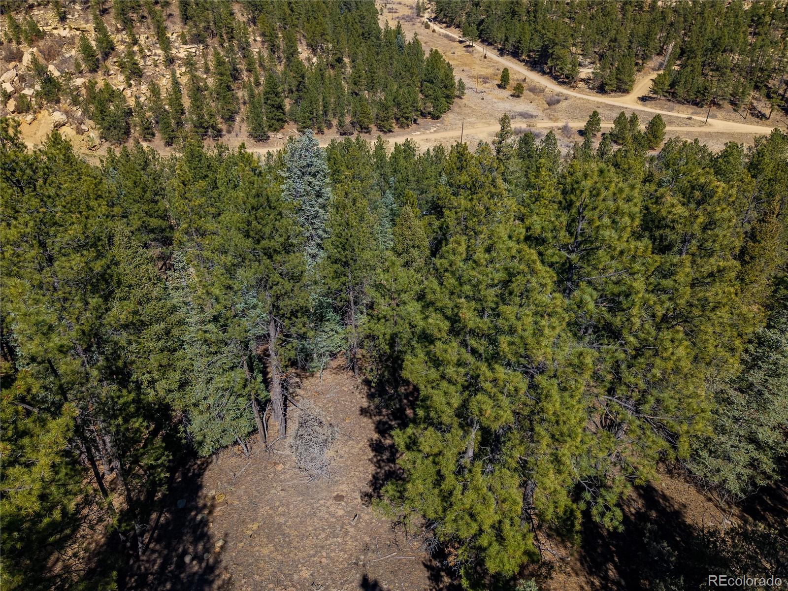 0 Dude Canyon Road Weston, CO 81091 - Photo 28 of 32