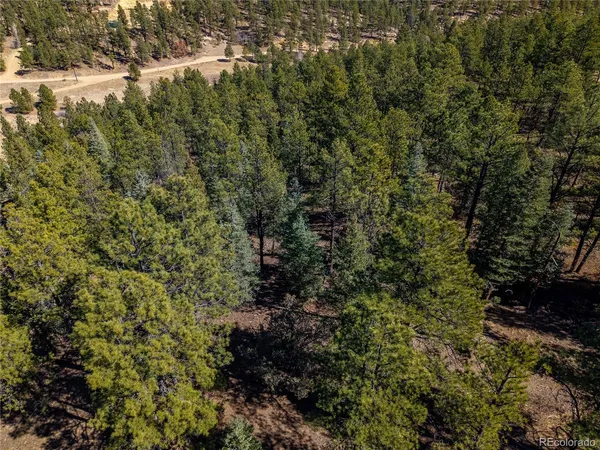 $170,000 | 0 Dude Canyon Road, Weston, CO 81091