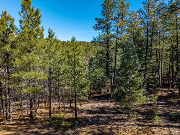 $170,000 | 0 Dude Canyon Road, Weston, CO 81091