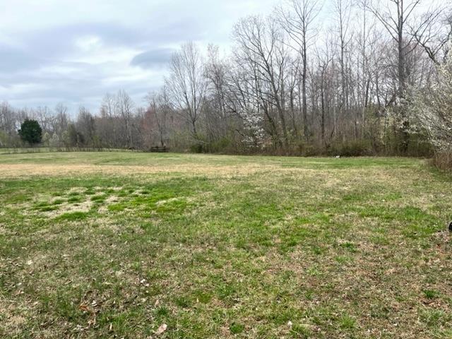 301 Wheat Road Columbia, KY 42728 - Photo 5 of 21 1258637-4