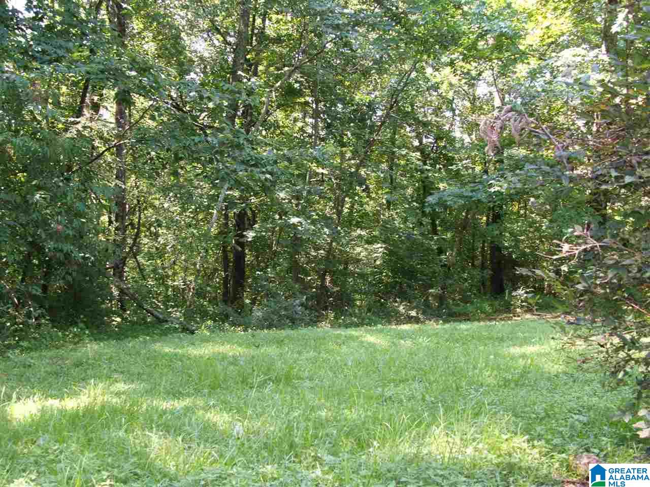 54 John Circle Springville, AL 35146 - Photo 6 of 31