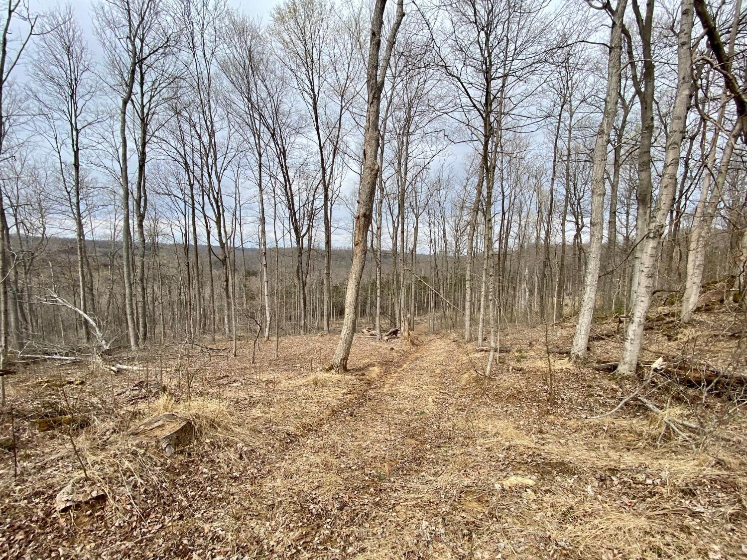 58.7-ac McCarty Road West Union, OH 45693 - Photo 12 of 17 Gallery Image 12
