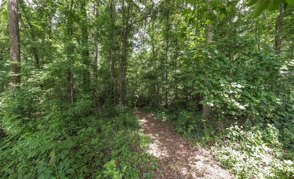 6945 John Rivers Road Fairburn, GA 30213 - Photo 4 of 65 a view of a forest that has a tree