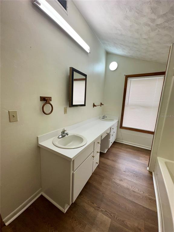 520 Southwest 5th Avenue Lake Butler, FL 32054 - Photo 9 of 54 a bathroom with a sink and a mirror