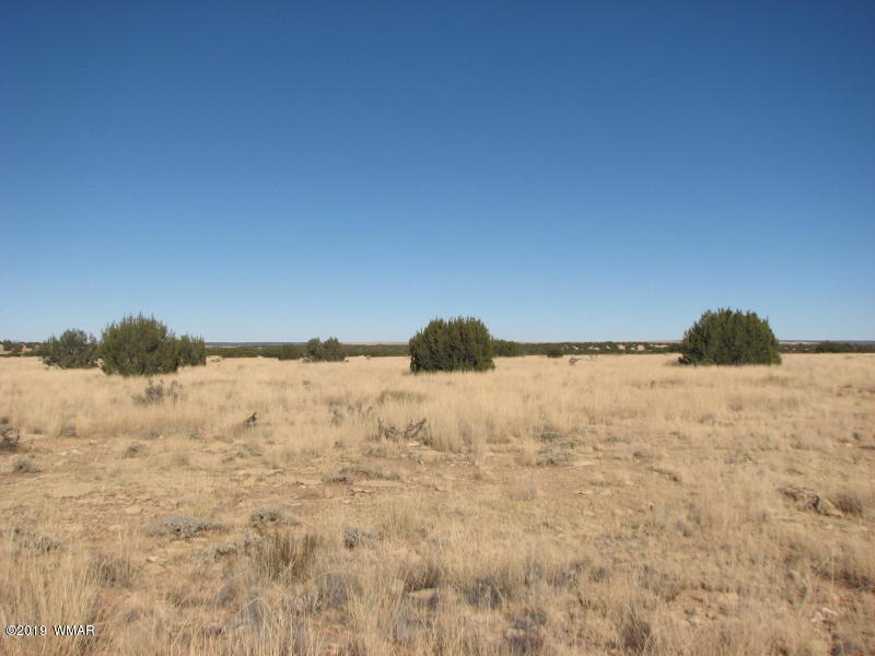 5054 Duck Lake Road Heber, AZ 85928 - Photo 3 of 6 Gallery Image 3