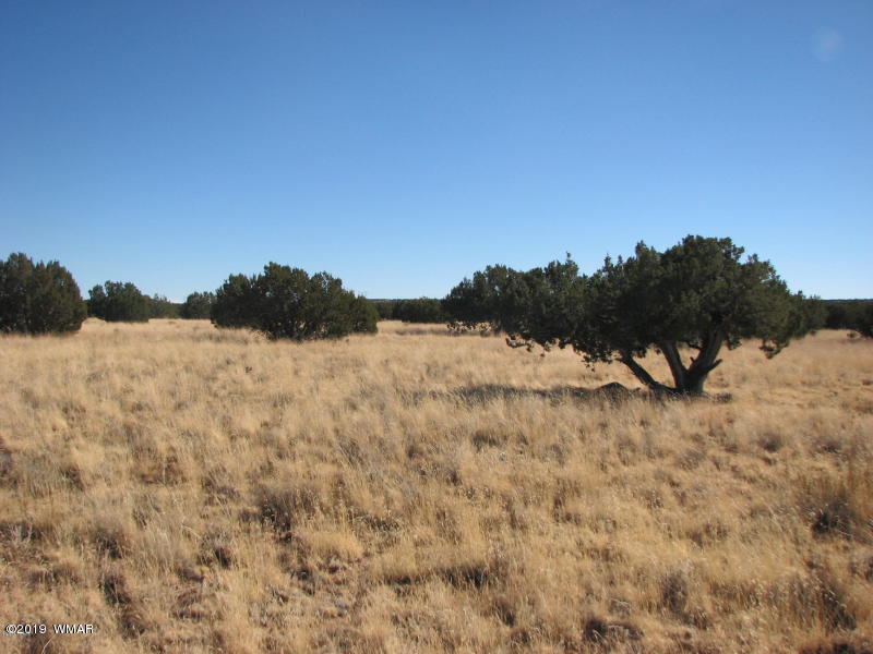 5054 Duck Lake Road Heber, AZ 85928 - Photo 6 of 6 Gallery Image 6