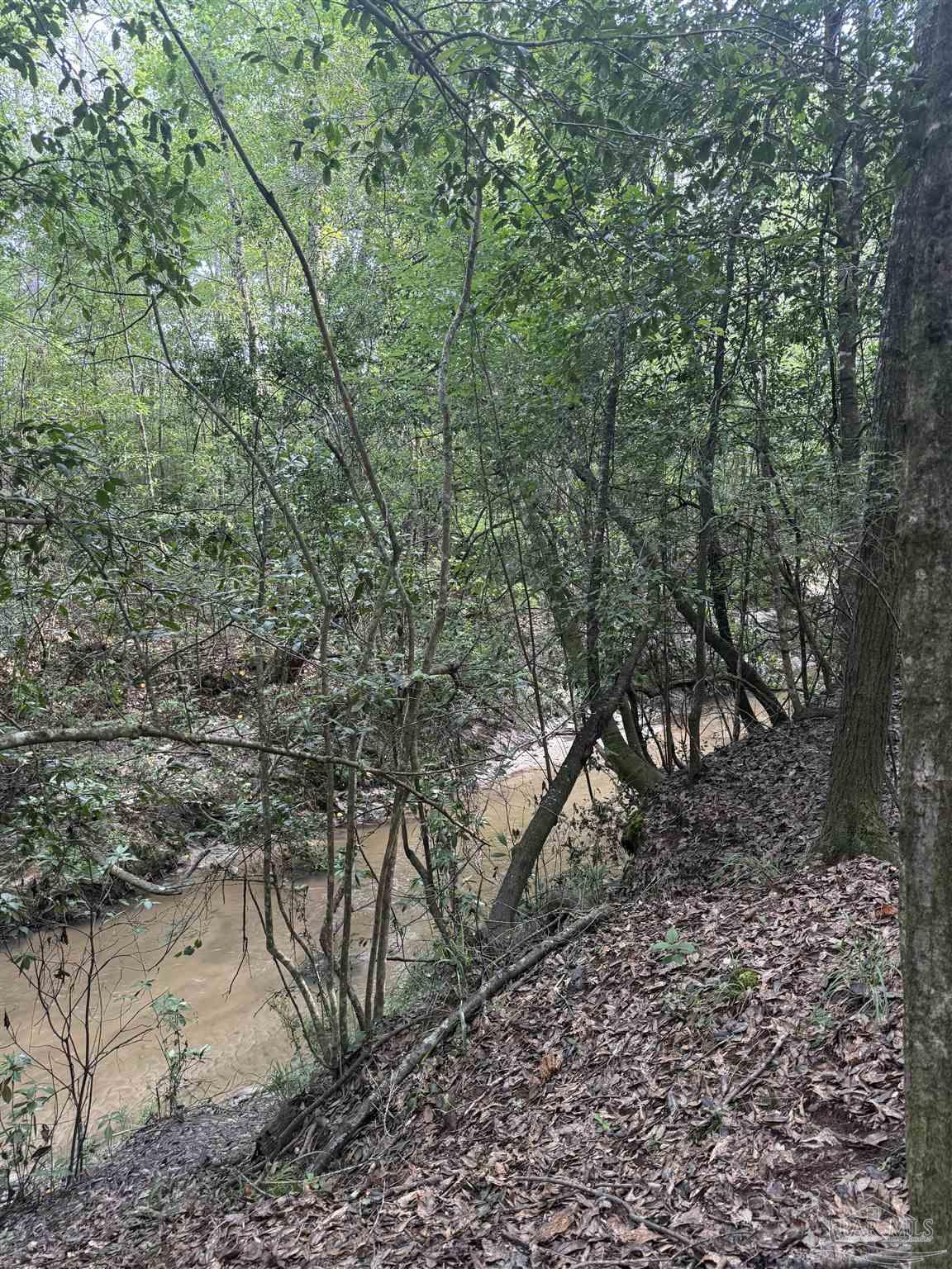 100 Mineral Springs Road Jay, FL 32565 - Photo 13 of 19 a backyard of a house with lots of trees