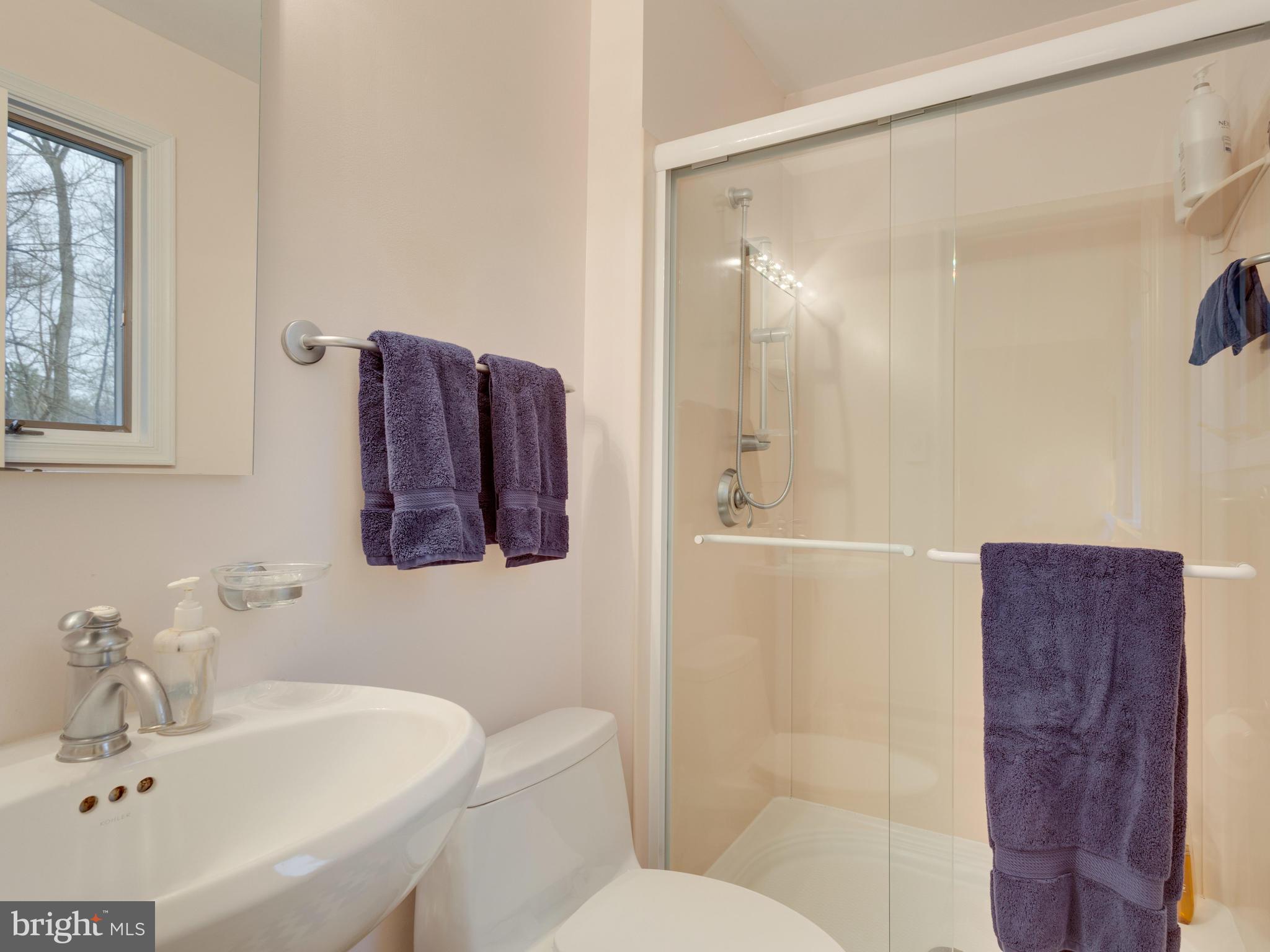 9022 Brook Ford Road Burke, VA 22015 - Photo 20 of 28 Bath (Master)