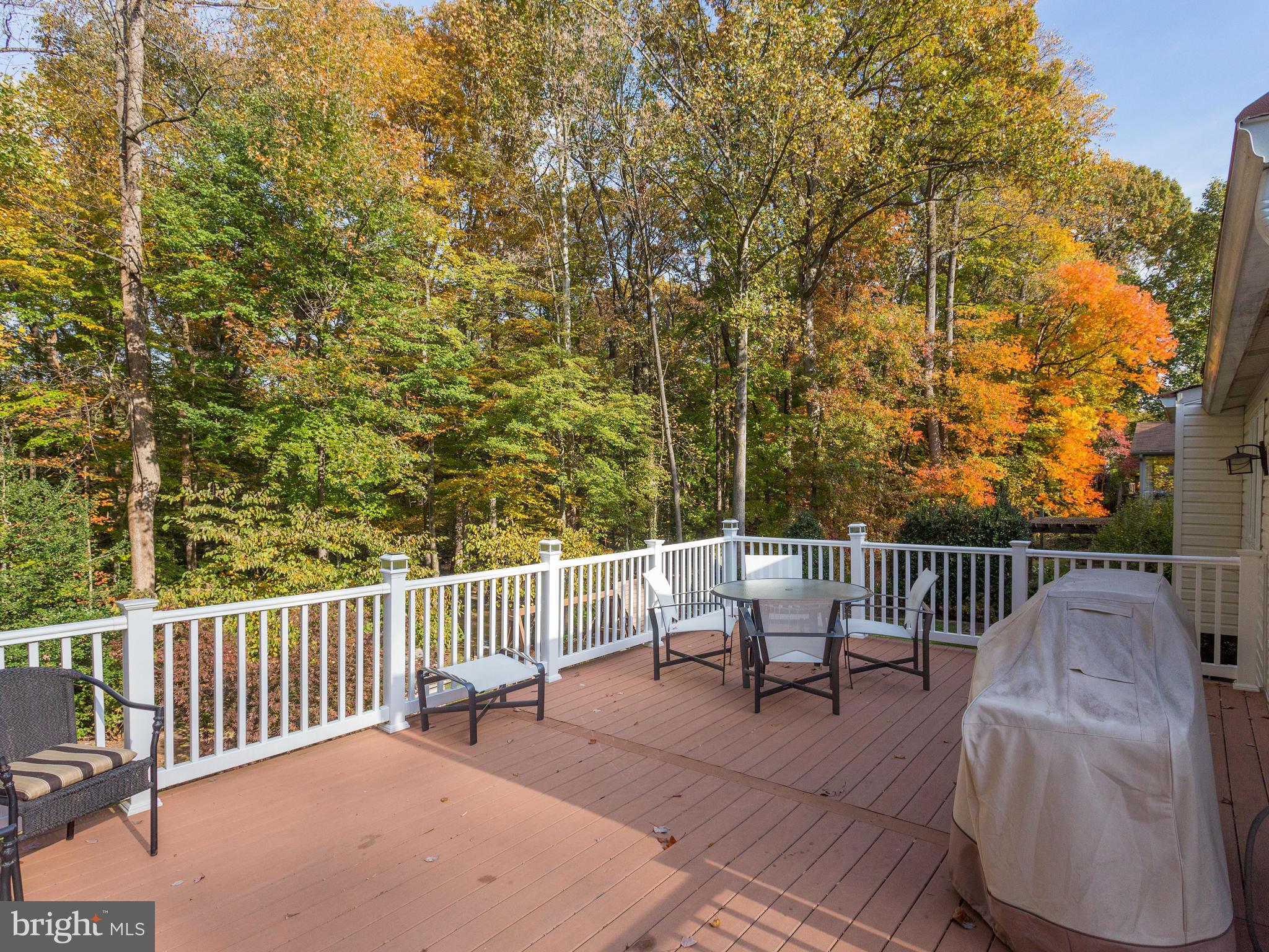 9022 Brook Ford Road Burke, VA 22015 - Photo 6 of 28 View