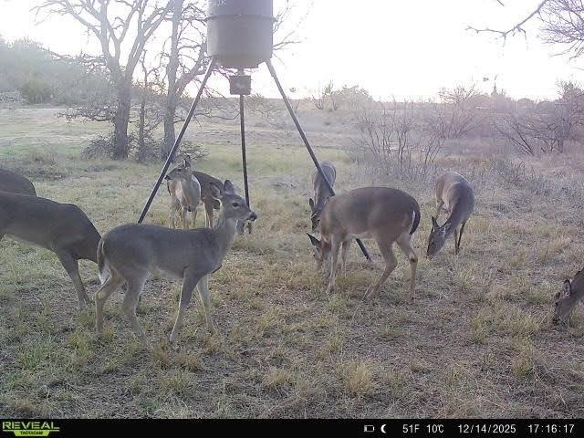 9486 Coppic Ranch Road Brownwood, TX 76801 - Photo 40 of 40 Gallery Image 40