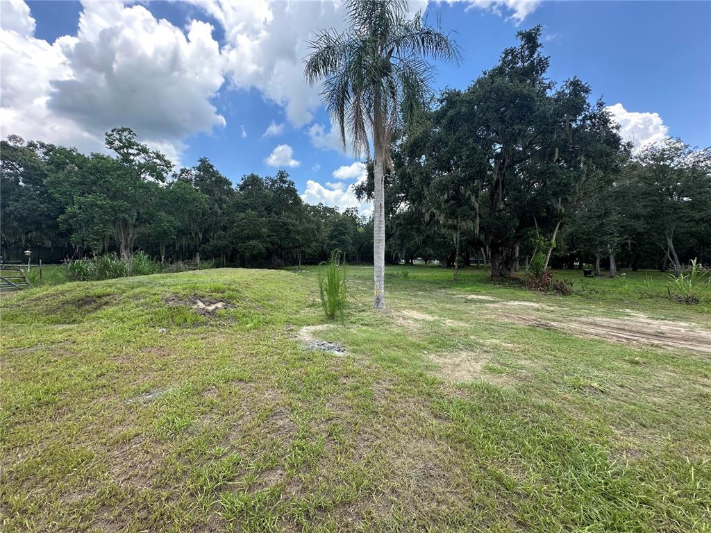 18115 Cedarhurst Road Orlando, FL 32820 - Photo 29 of 32