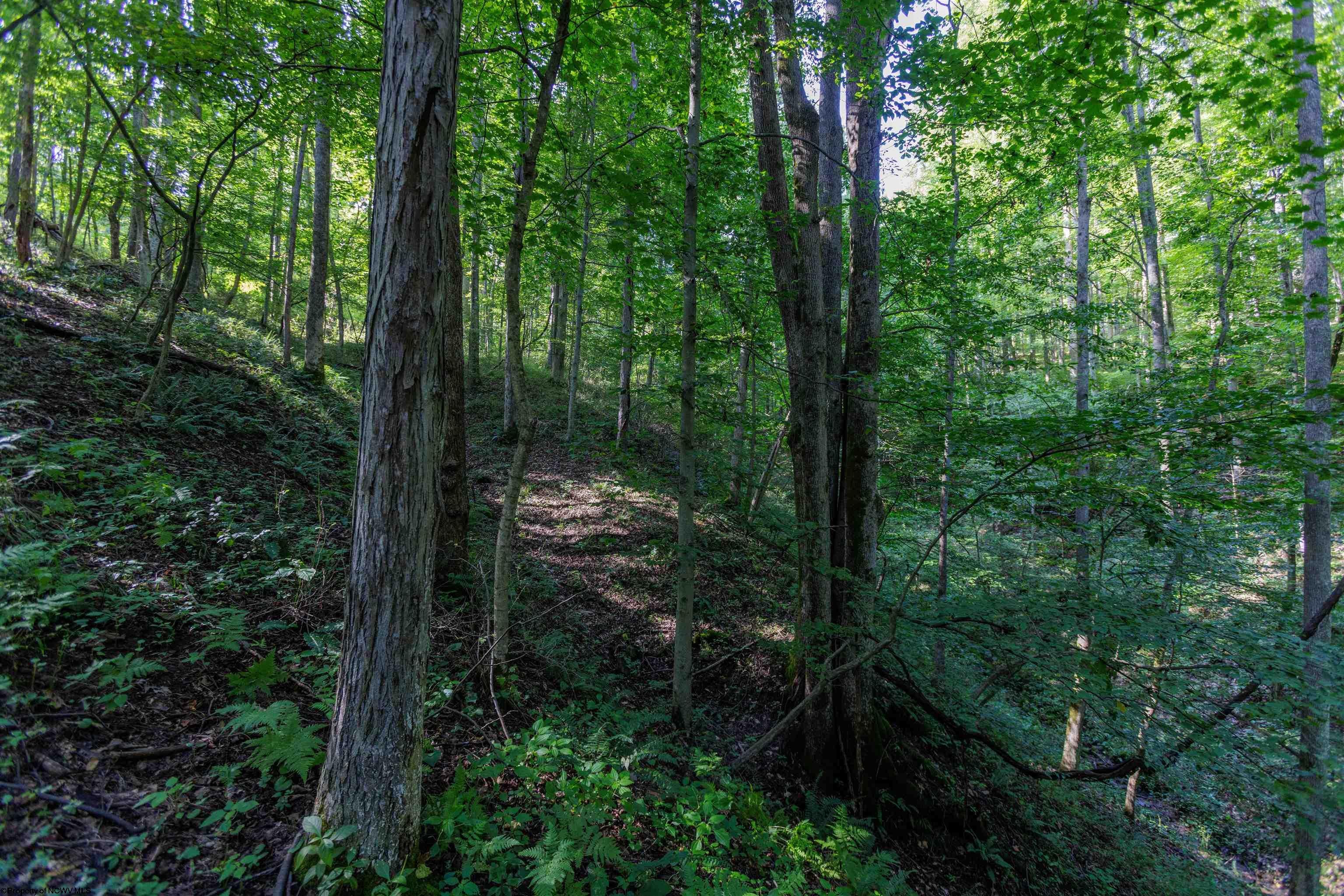 Tbd Green Valley Road Buckhannon, WV 26201 - Photo 32 of 49 Gallery Image 32