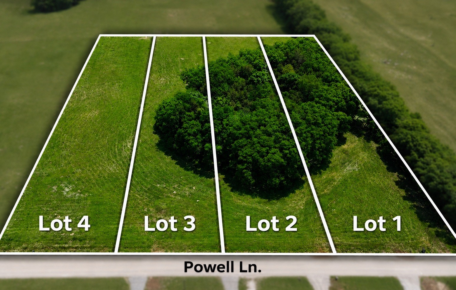 0 Powell Lane Lewisburg, TN 37091 - Photo 2 of 10 a view of yard