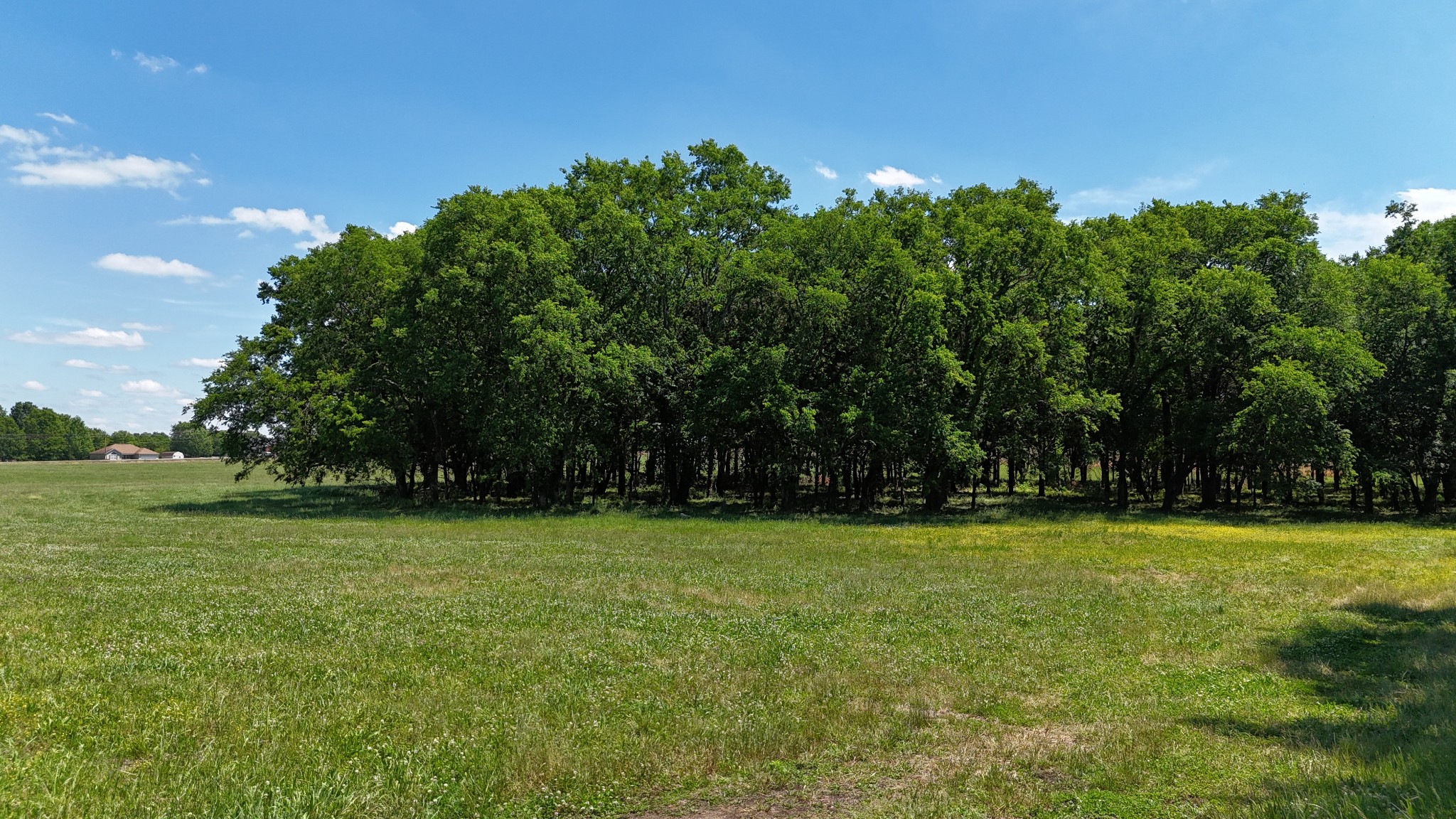 0 Powell Lane Lewisburg, TN 37091 - Photo 4 of 10 a view of a golf course