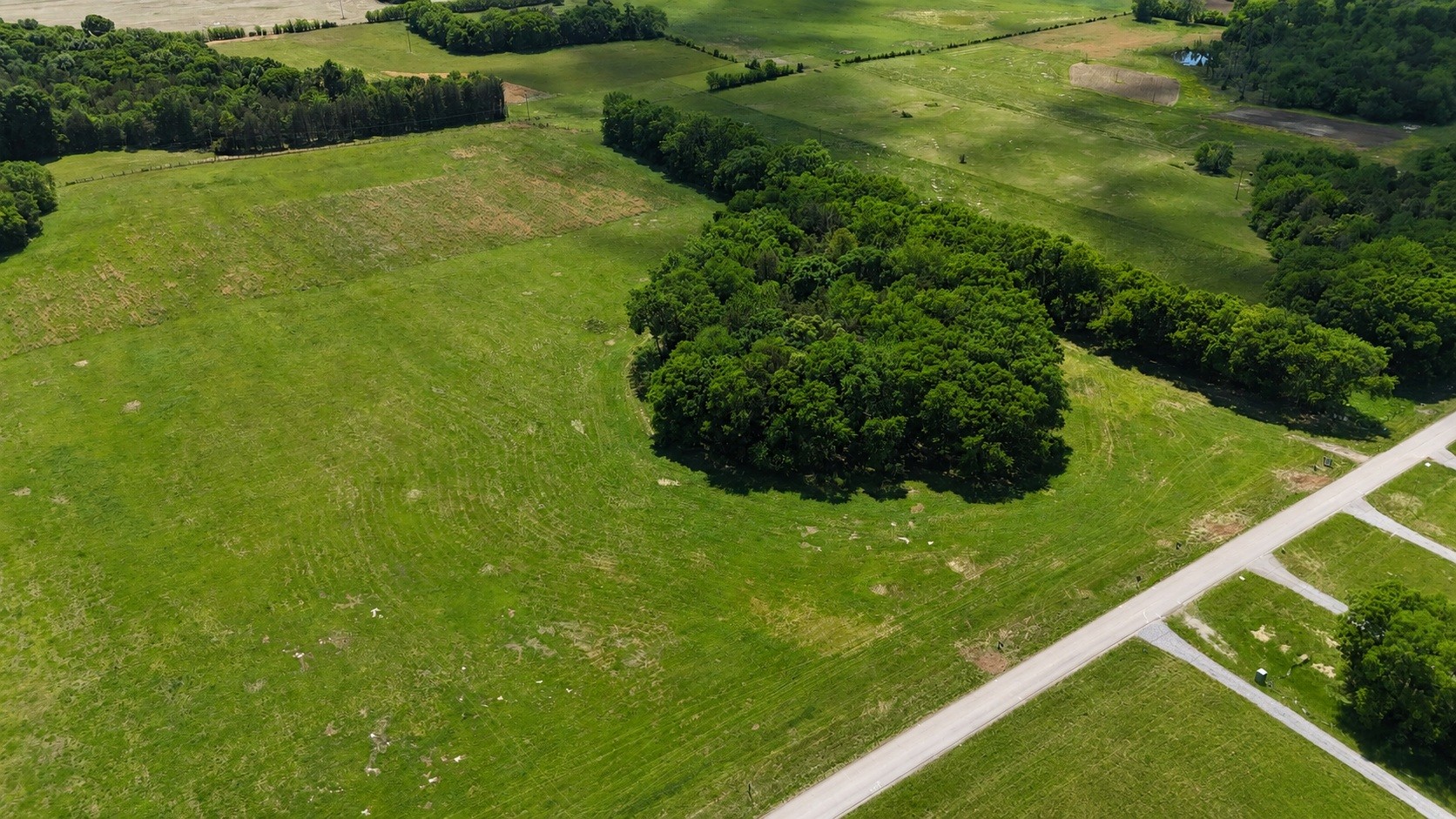 0 Powell Lane Lewisburg, TN 37091 - Photo 8 of 10 a view of a green yard