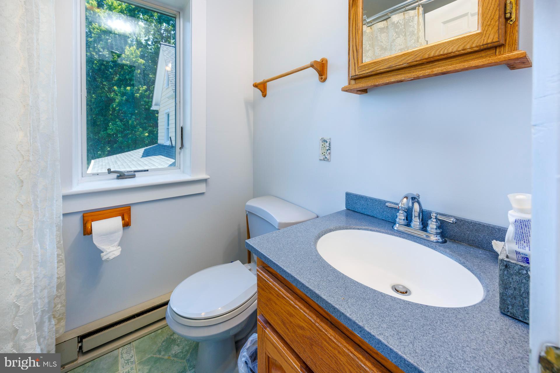 2208 Horns Point Road Cambridge, MD 21613 - Photo 40 of 61 a bathroom with a sink a toilet and a mirror