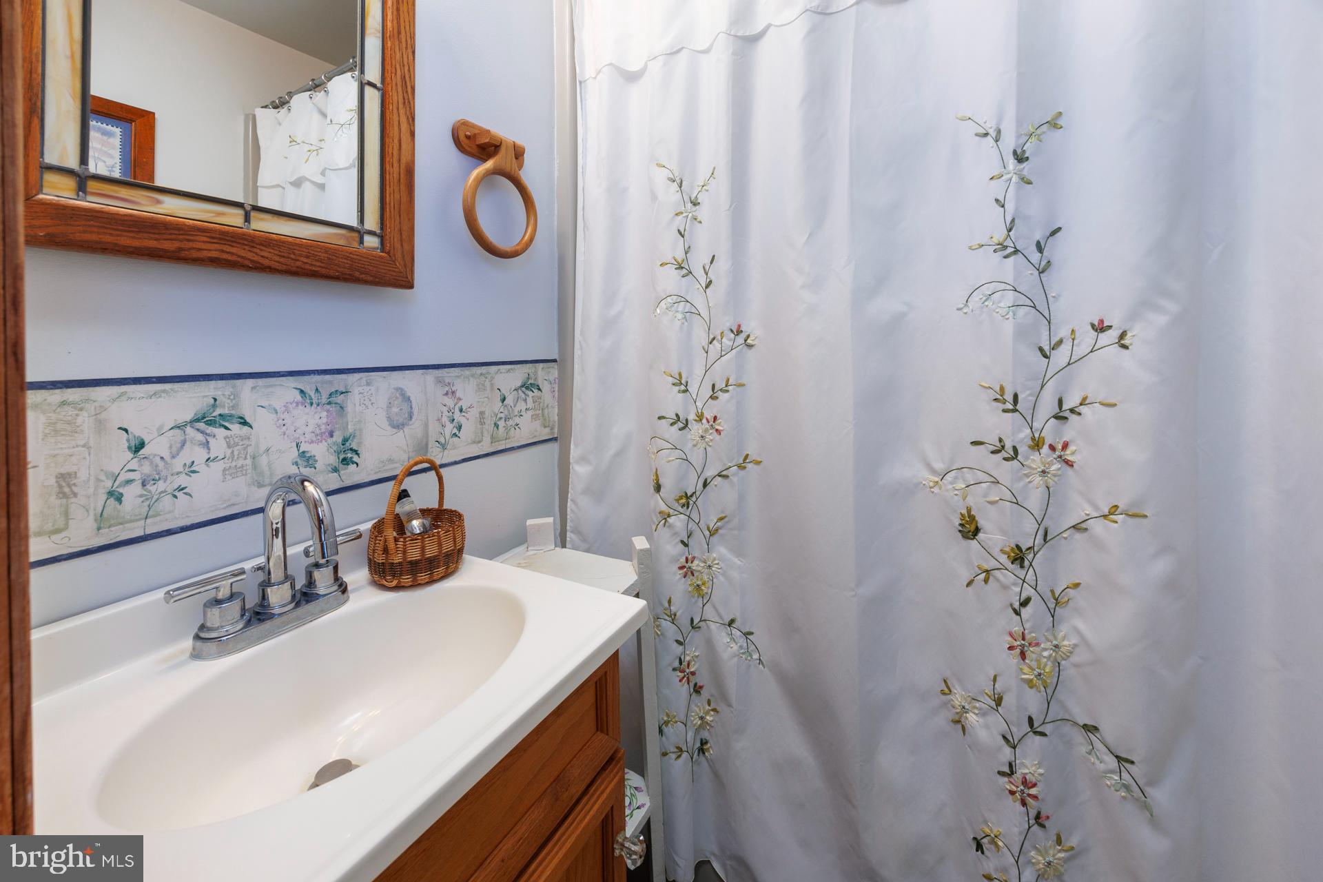 2208 Horns Point Road Cambridge, MD 21613 - Photo 46 of 61 a bathroom with a sink and a mirror