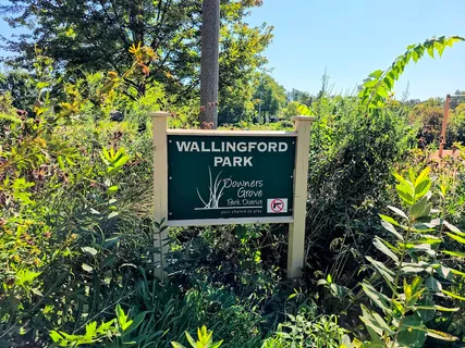 $1,299,000 | 3919 Washington Street, Downers Grove, IL 60515