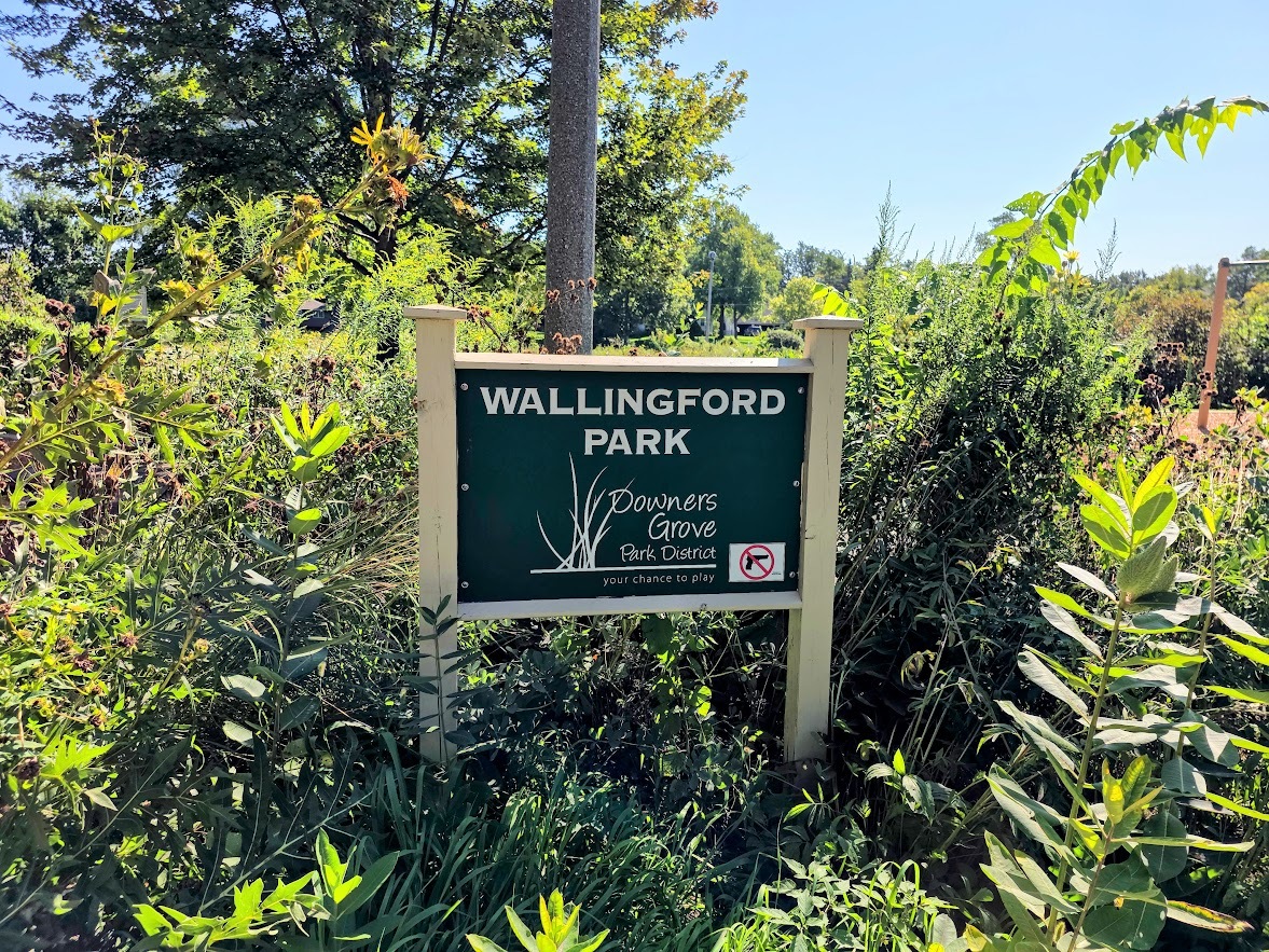 3919 Washington Street Downers Grove, IL 60515 - Photo 36 of 40