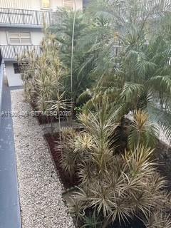 2460 Southwest 18th Avenue, Unit 1211 Miami, FL 33133 - Photo 12 of 15 a close up of a plant in a yard