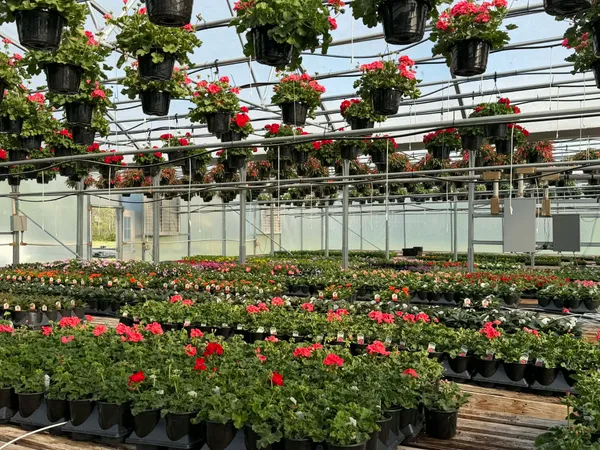 $998,900 | 2461 Bodenham Road, Pulaski, TN 38478