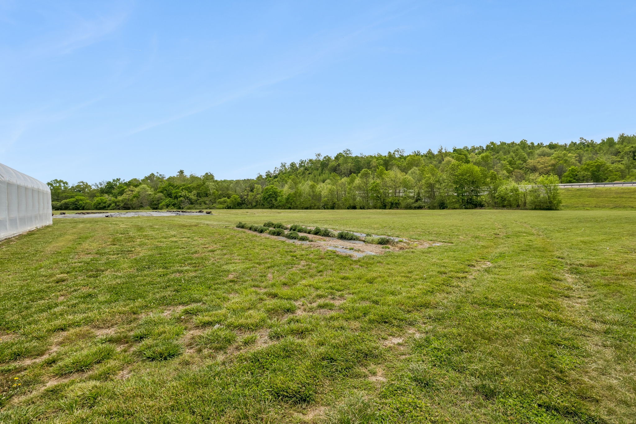 2461 Bodenham Road Pulaski, TN 38478 - Photo 22 of 100 a view of a field with an ocean view