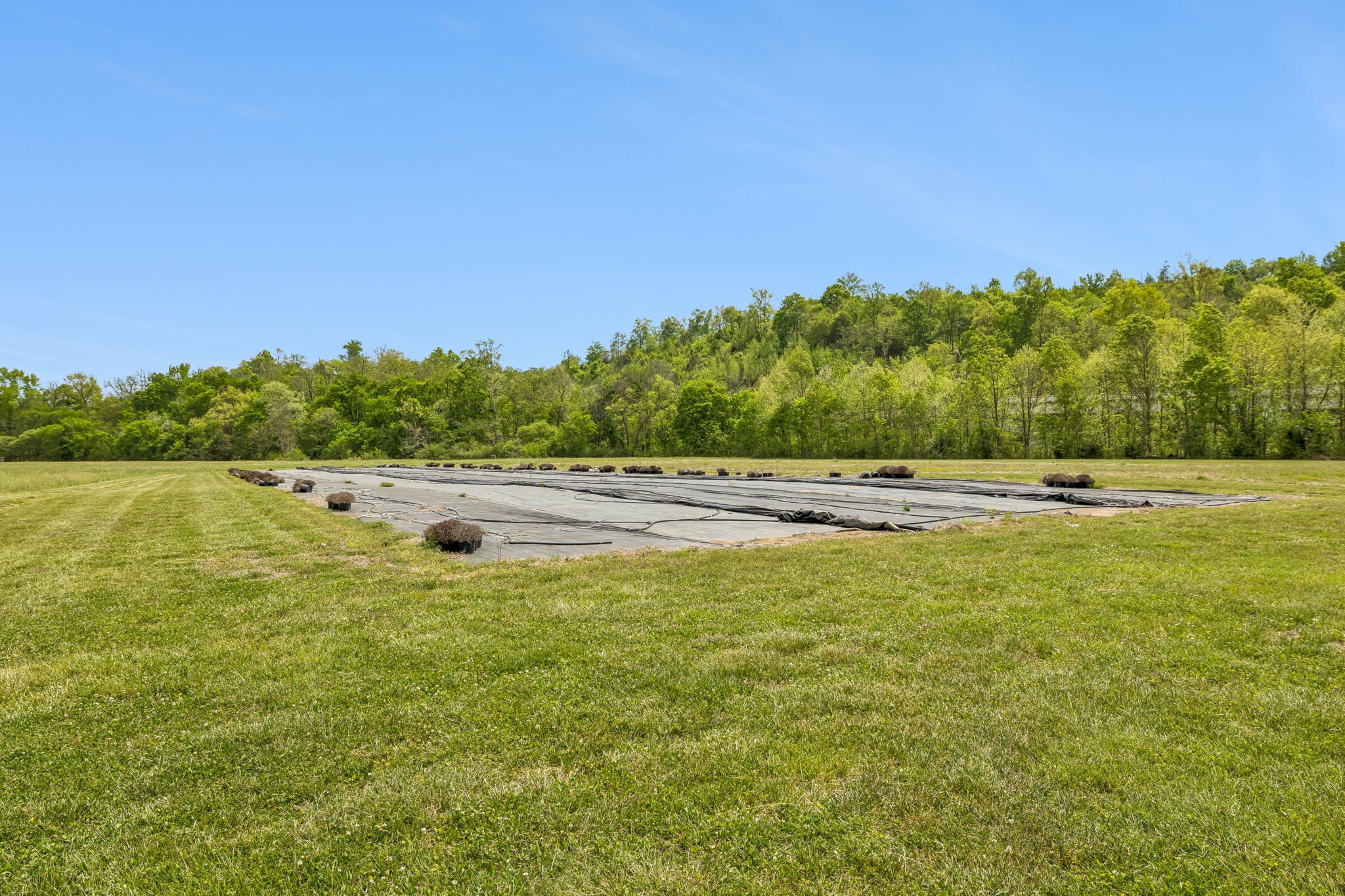 2461 Bodenham Road Pulaski, TN 38478 - Photo 54 of 100 a view of a lake view