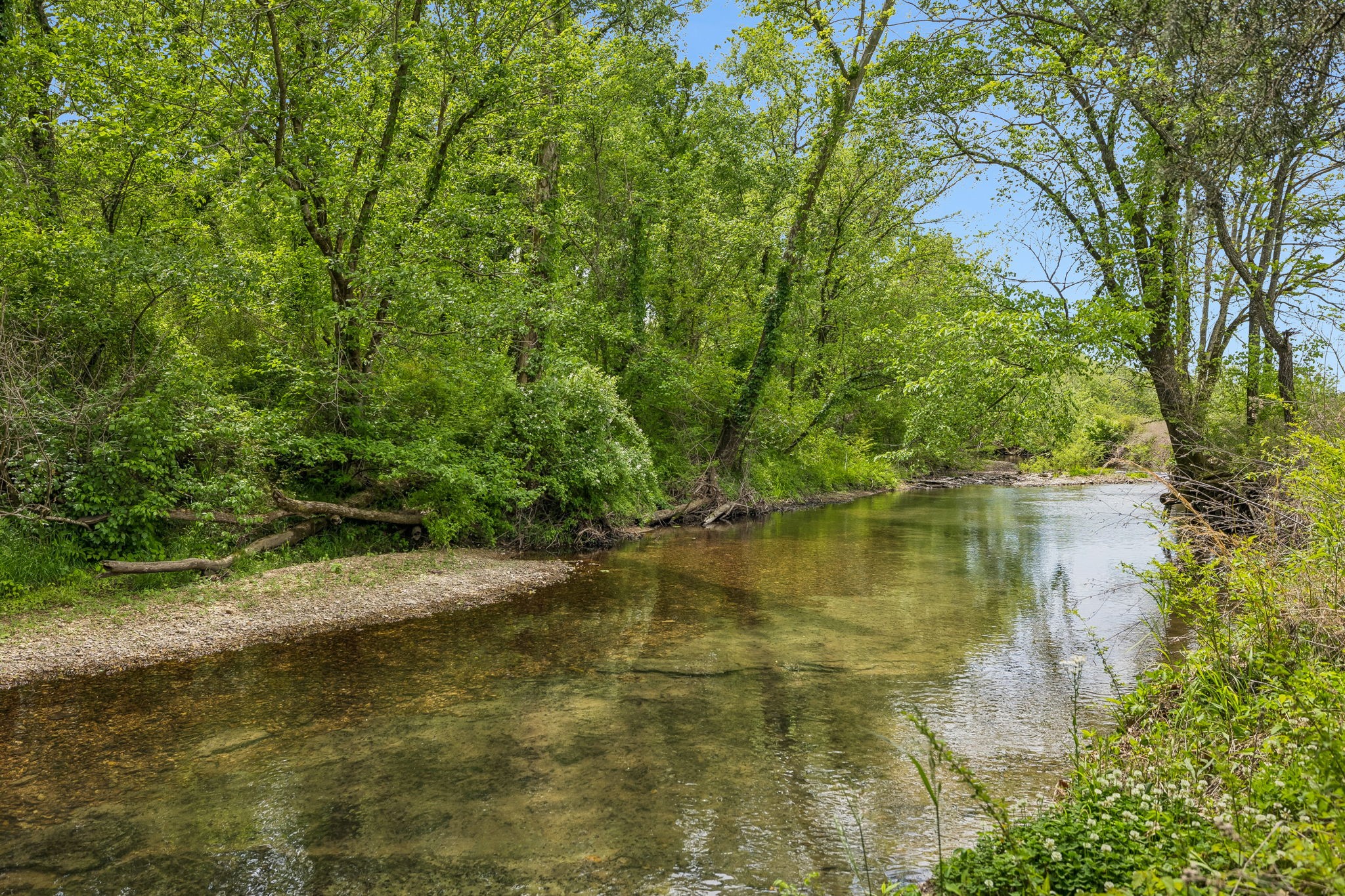 2461 Bodenham Road Pulaski, TN 38478 - Photo 62 of 100