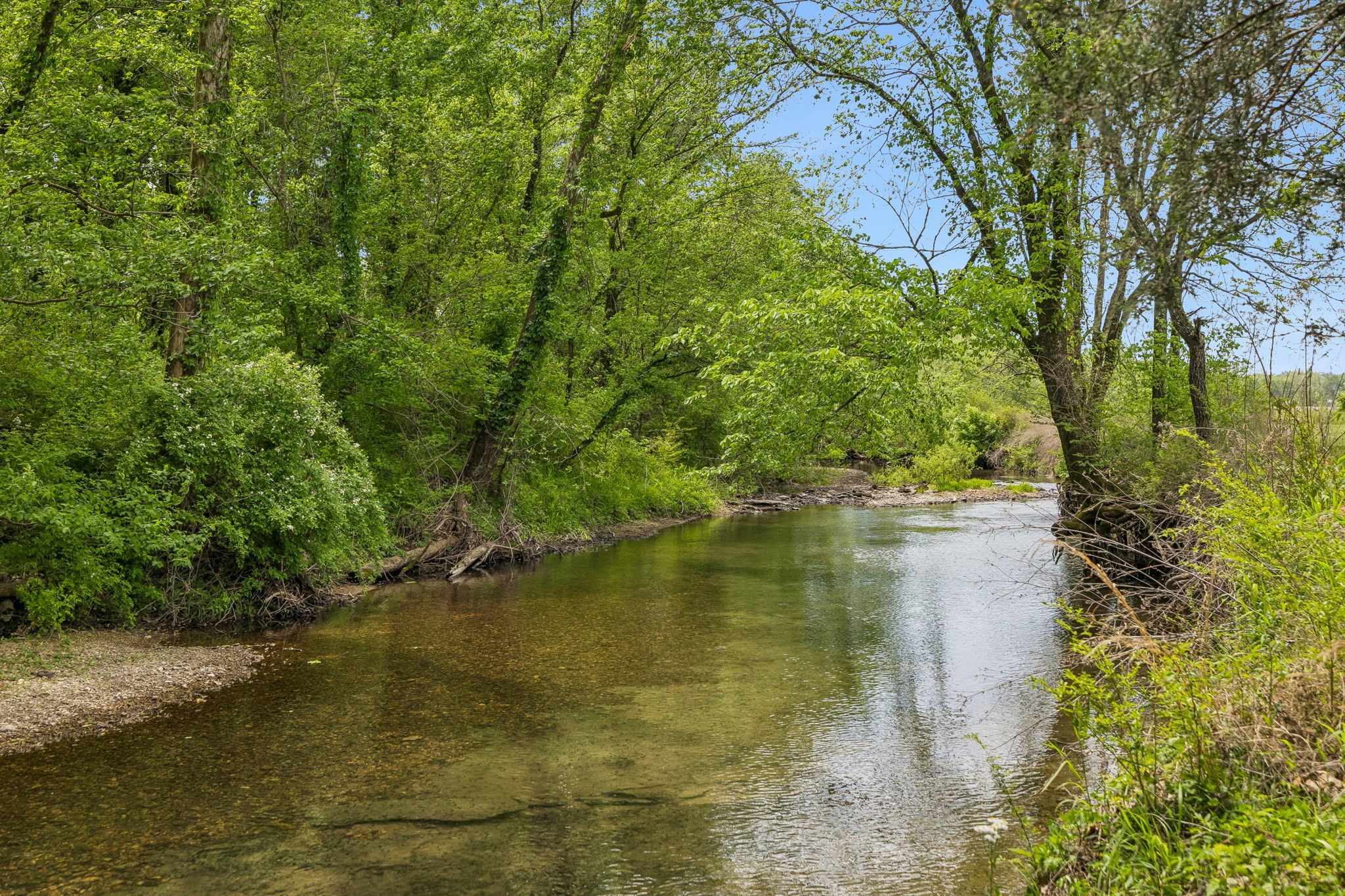 2461 Bodenham Road Pulaski, TN 38478 - Photo 63 of 100 a view of lake with green space