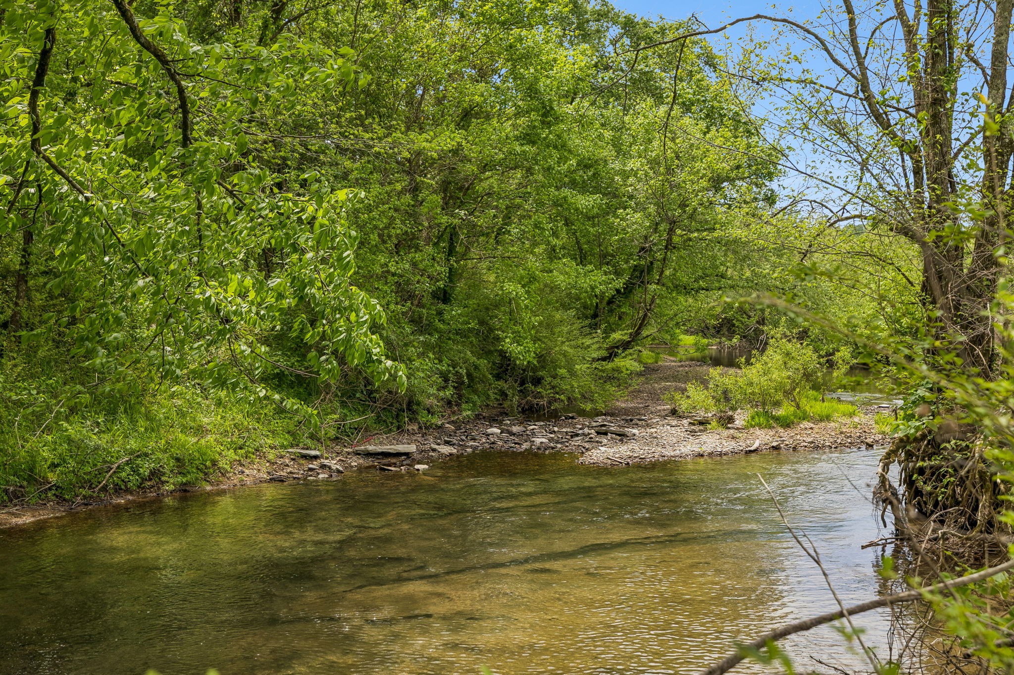 2461 Bodenham Road Pulaski, TN 38478 - Photo 64 of 100