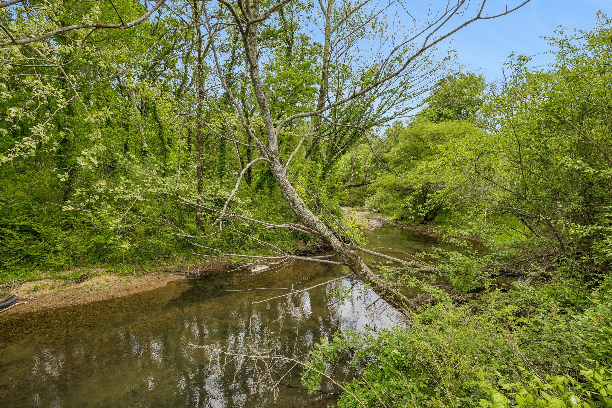2461 Bodenham Road Pulaski, TN 38478 - Photo 65 of 100