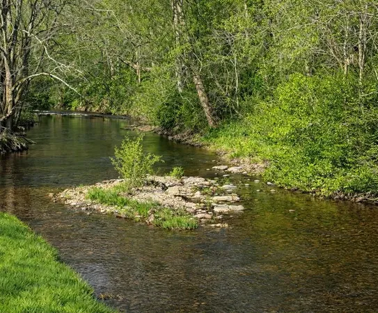 $998,900 | 2461 Bodenham Road, Pulaski, TN 38478