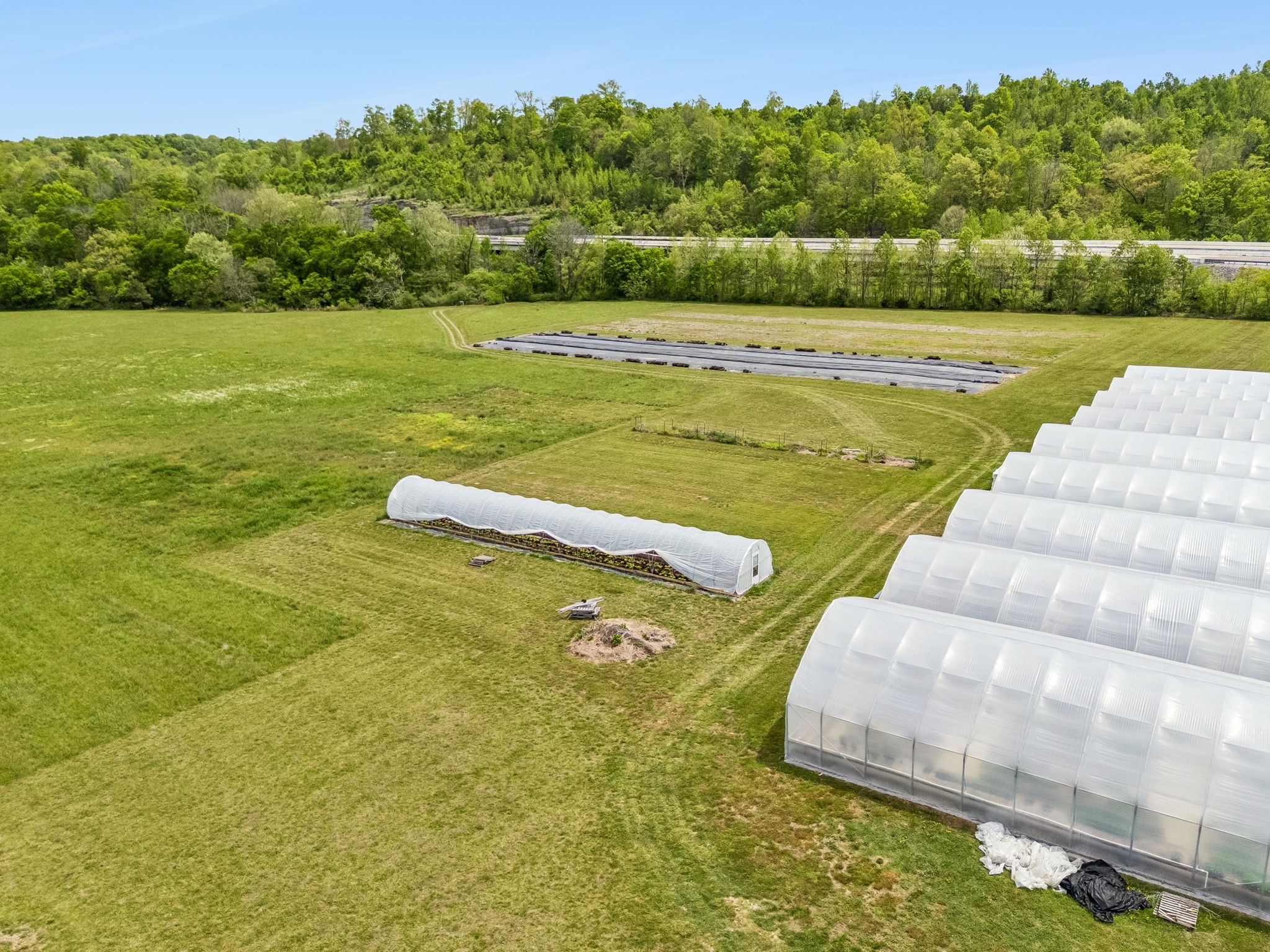 2461 Bodenham Road Pulaski, TN 38478 - Photo 85 of 100 a view of an swimming pool and lake view