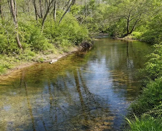 $998,900 | 2461 Bodenham Road, Pulaski, TN 38478