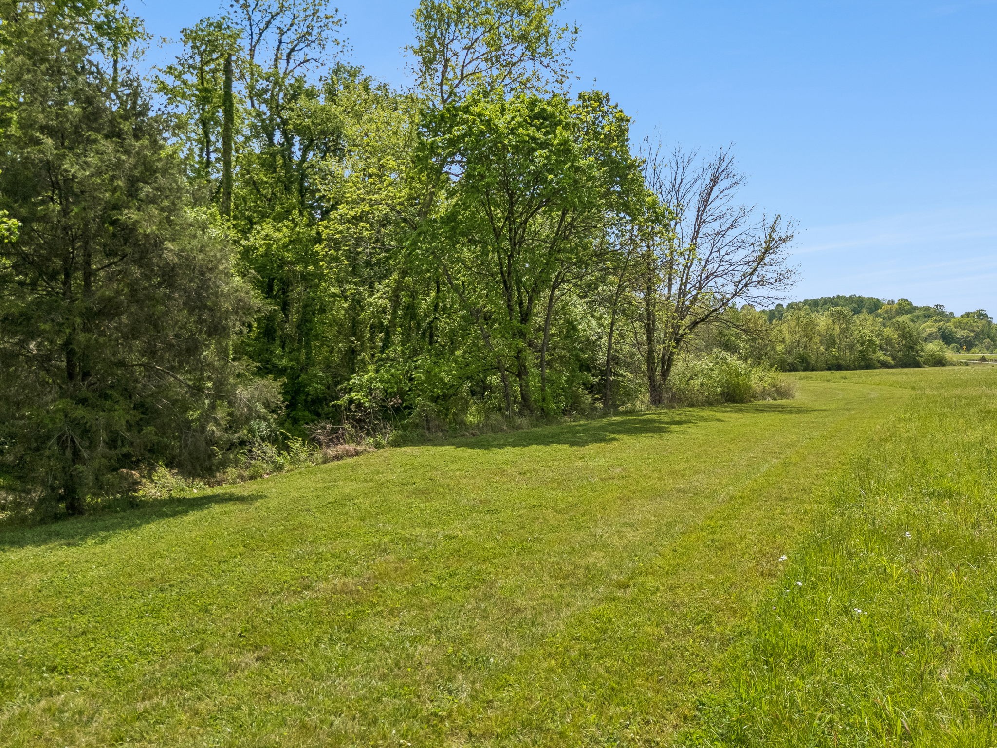 2461 Bodenham Road Pulaski, TN 38478 - Photo 91 of 100 a view of yard with swimming pool and green space