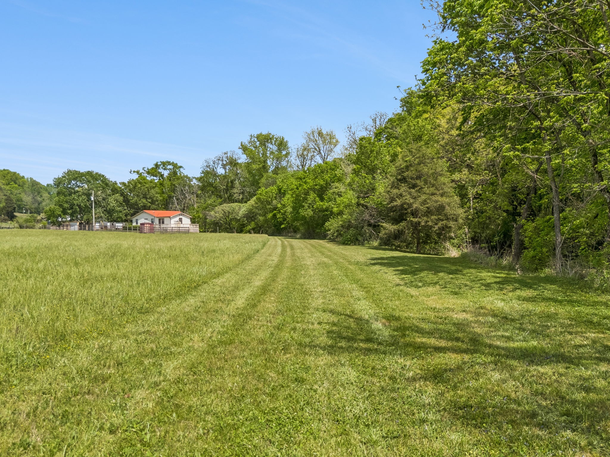 2461 Bodenham Road Pulaski, TN 38478 - Photo 95 of 100 a view of a field with trees in the background