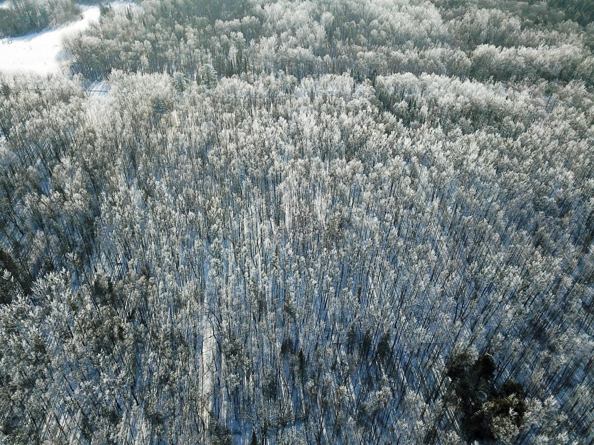Tbd Old Long Lake Road Northwest Bemidji, MN 56601 - Photo 11 of 46