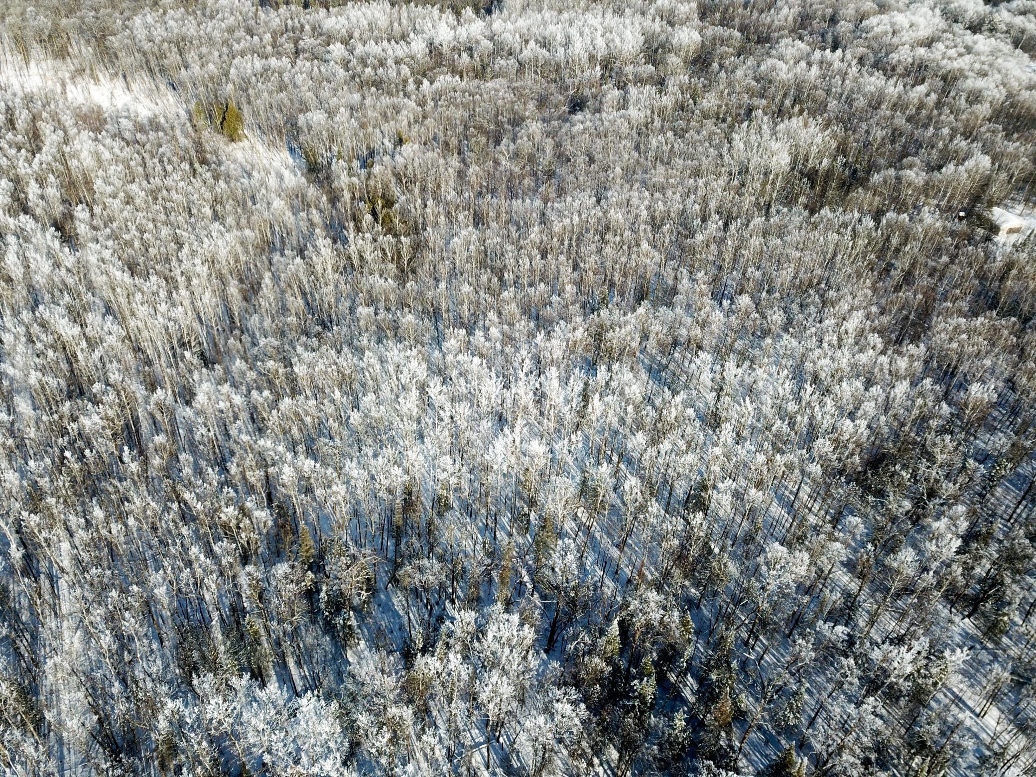 Tbd Old Long Lake Road Northwest Bemidji, MN 56601 - Photo 18 of 46