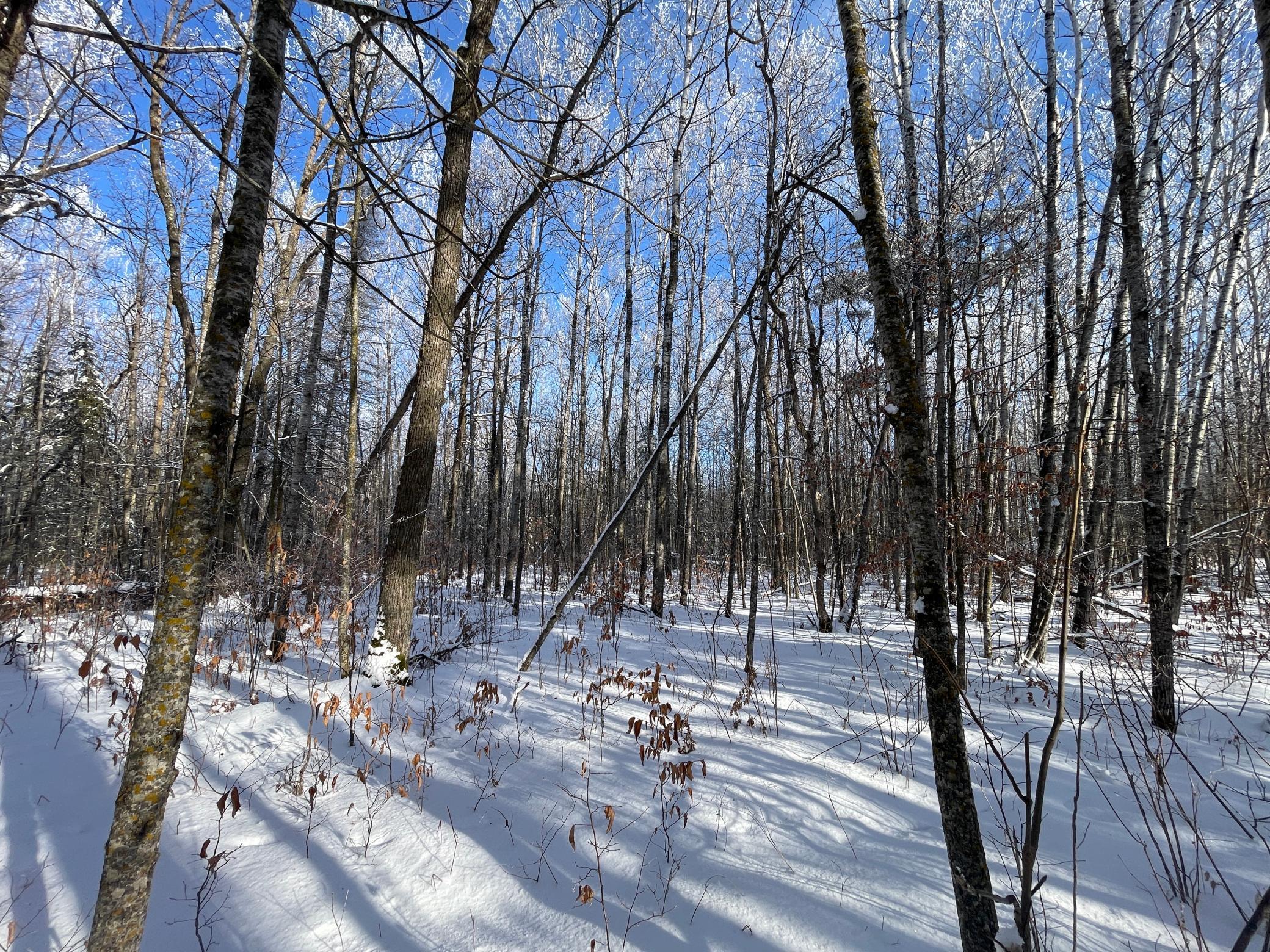 Tbd Old Long Lake Road Northwest Bemidji, MN 56601 - Photo 24 of 46