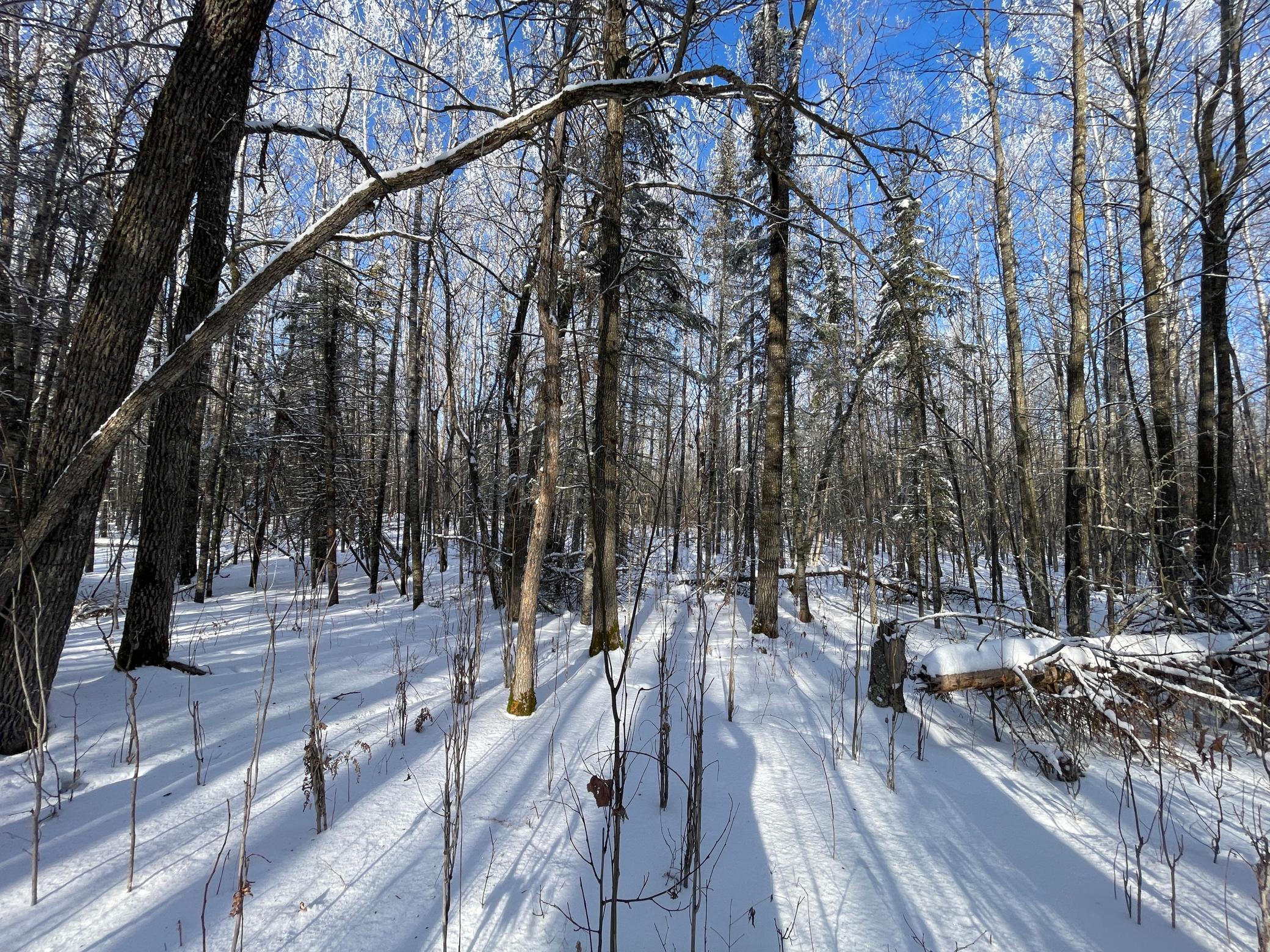 Tbd Old Long Lake Road Northwest Bemidji, MN 56601 - Photo 26 of 46