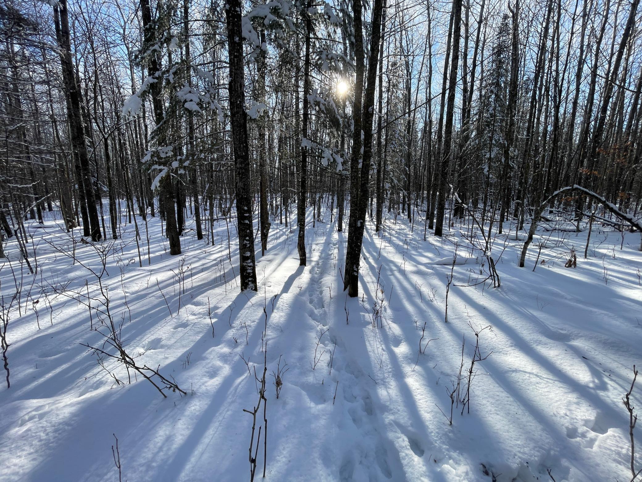 Tbd Old Long Lake Road Northwest Bemidji, MN 56601 - Photo 35 of 46