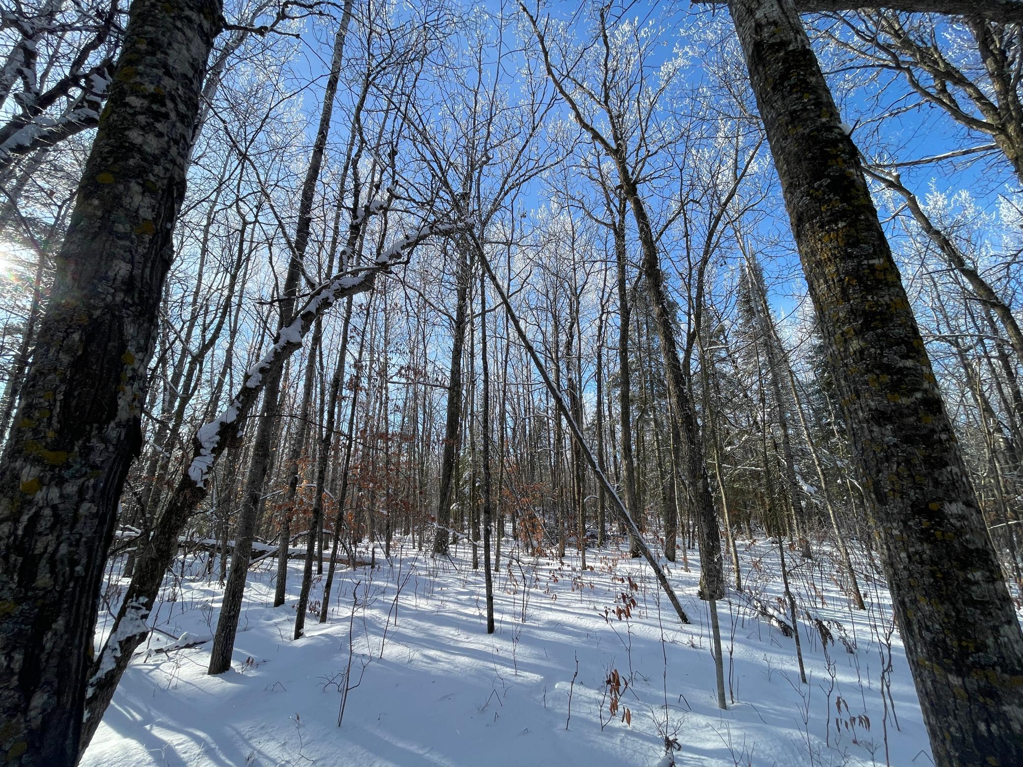 Tbd Old Long Lake Road Northwest Bemidji, MN 56601 - Photo 38 of 46