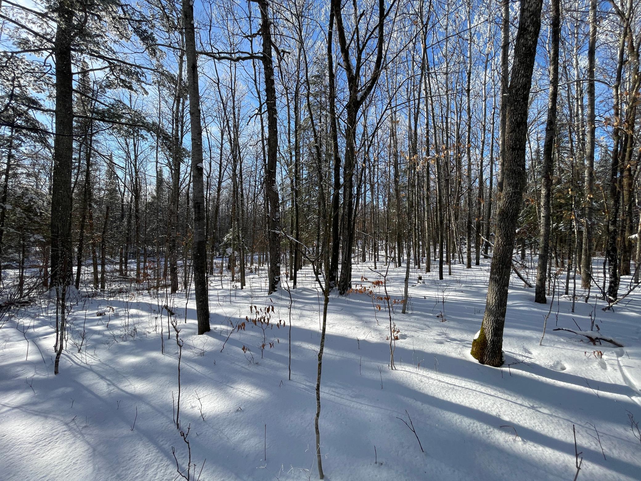 Tbd Old Long Lake Road Northwest Bemidji, MN 56601 - Photo 39 of 46