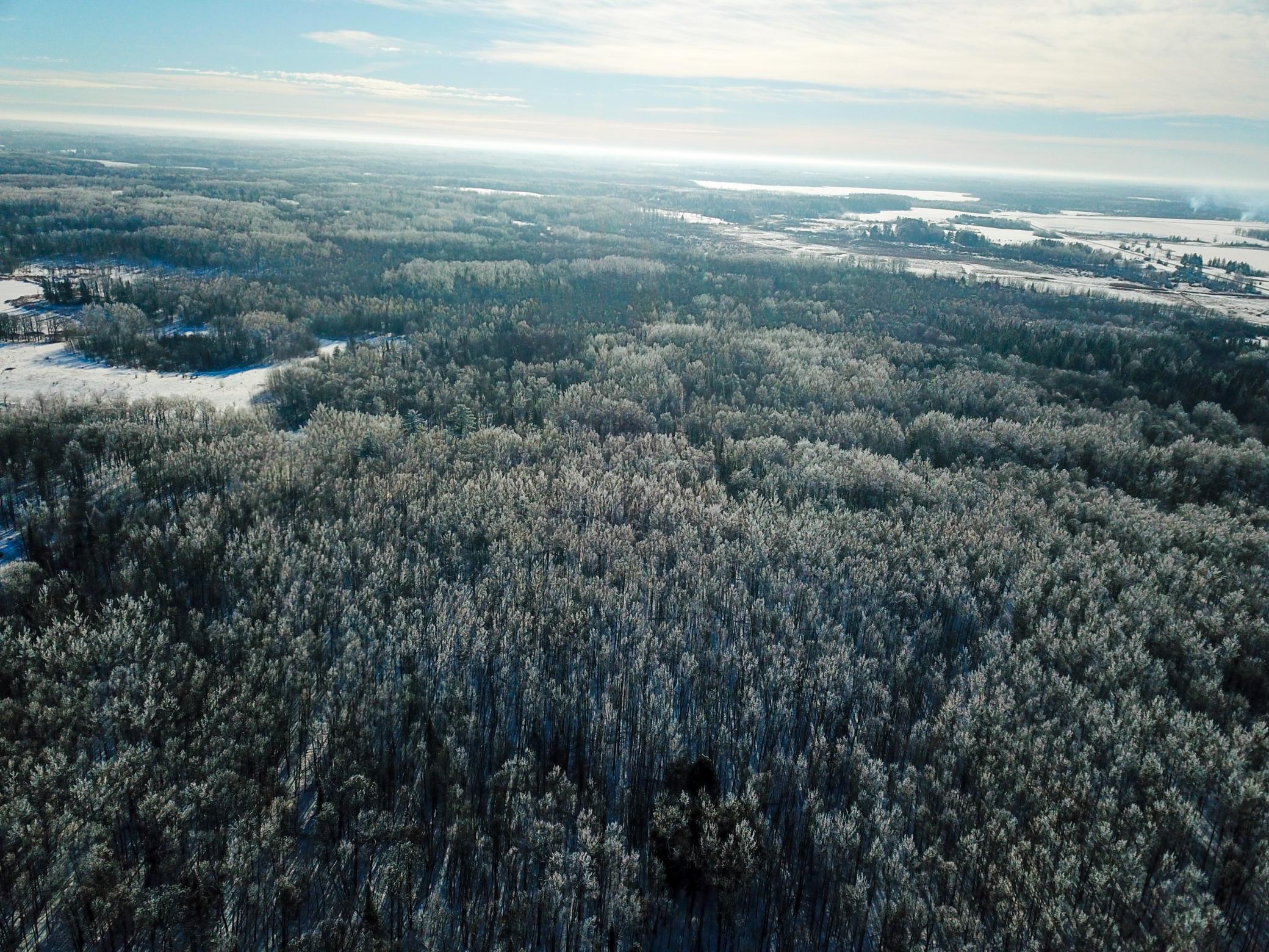 Tbd Old Long Lake Road Northwest Bemidji, MN 56601 - Photo 7 of 46