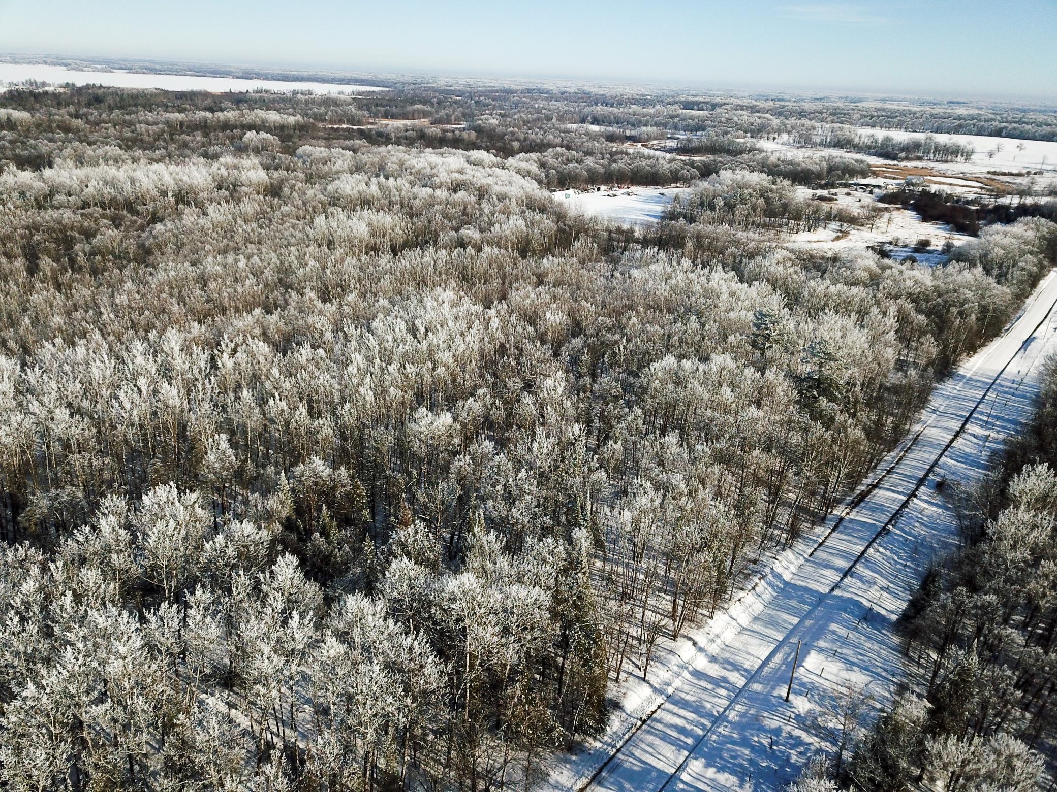 Tbd Old Long Lake Road Northwest Bemidji, MN 56601 - Photo 9 of 46