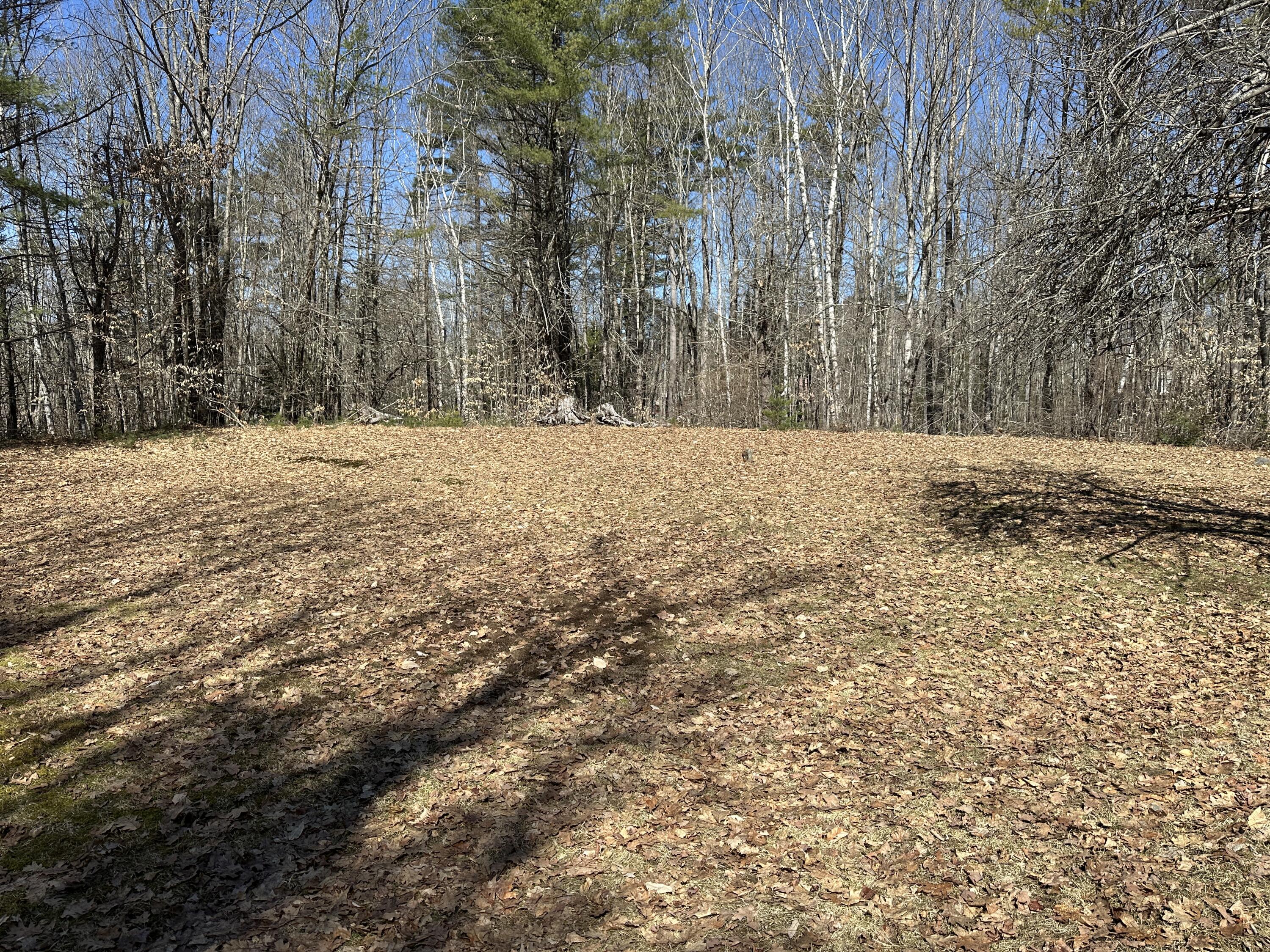 2586 Acton Ridge Road West Newfield, ME 04095 - Photo 36 of 44 IMG_5672