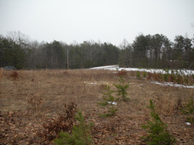 Lot 38 Thunder Ridge Road Huddleston, VA 24104 - Photo 5 of 5 lot