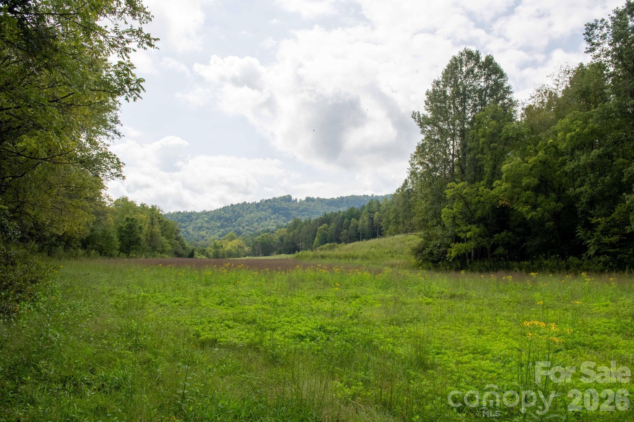3305 Zacks Fork Road Lenoir, NC 28645 - Photo 10 of 48 Gallery Image 10