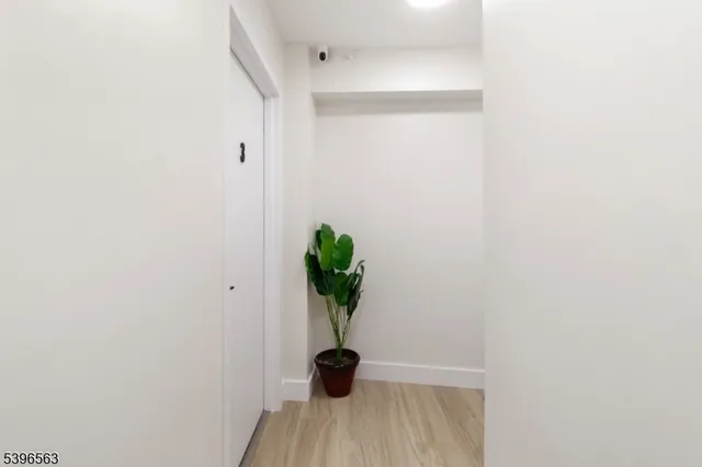 a view of a hallway with wooden floor and a potted plant