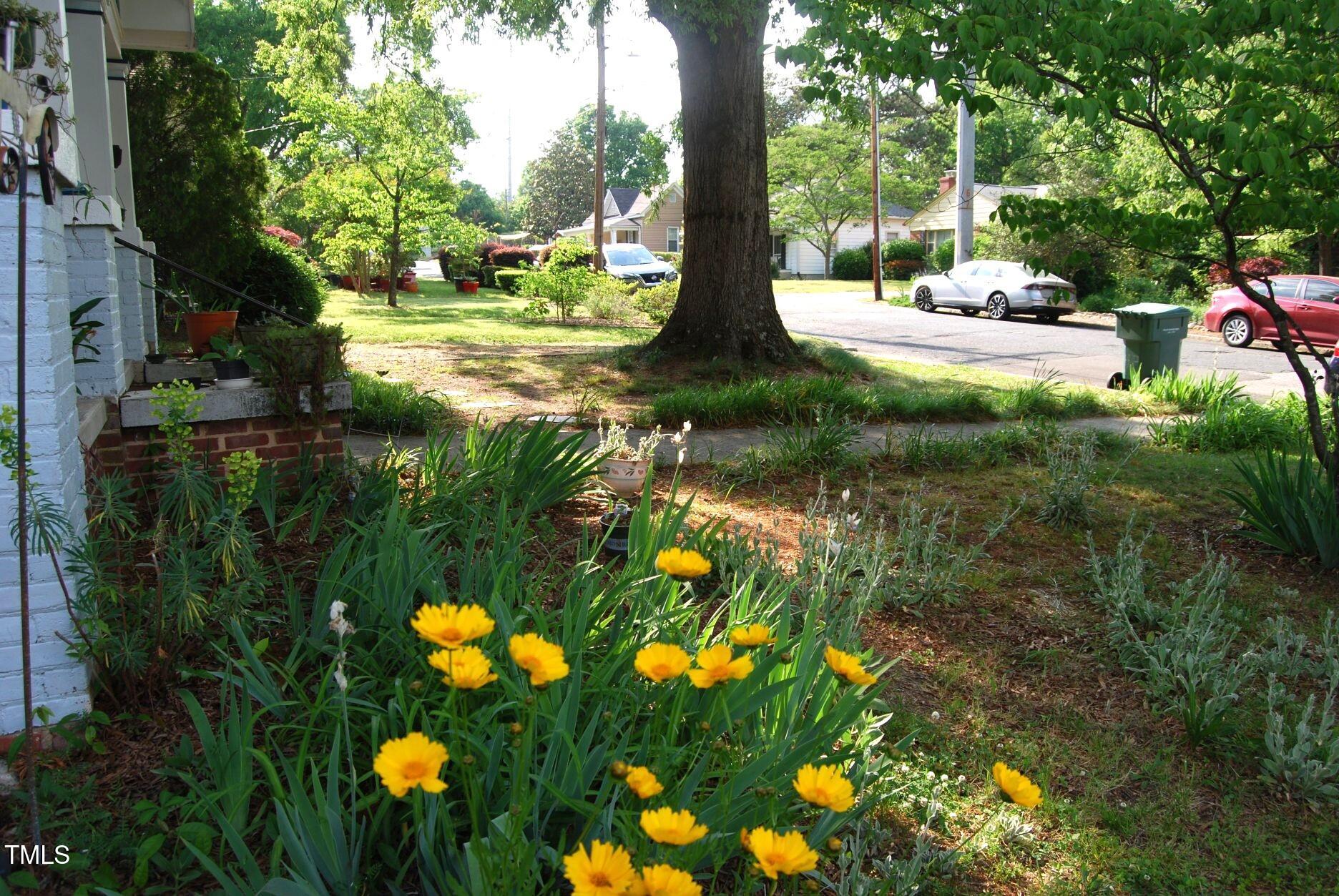 1013 Green Street Durham, NC 27701 - Photo 29 of 32 a view of a tree with yard